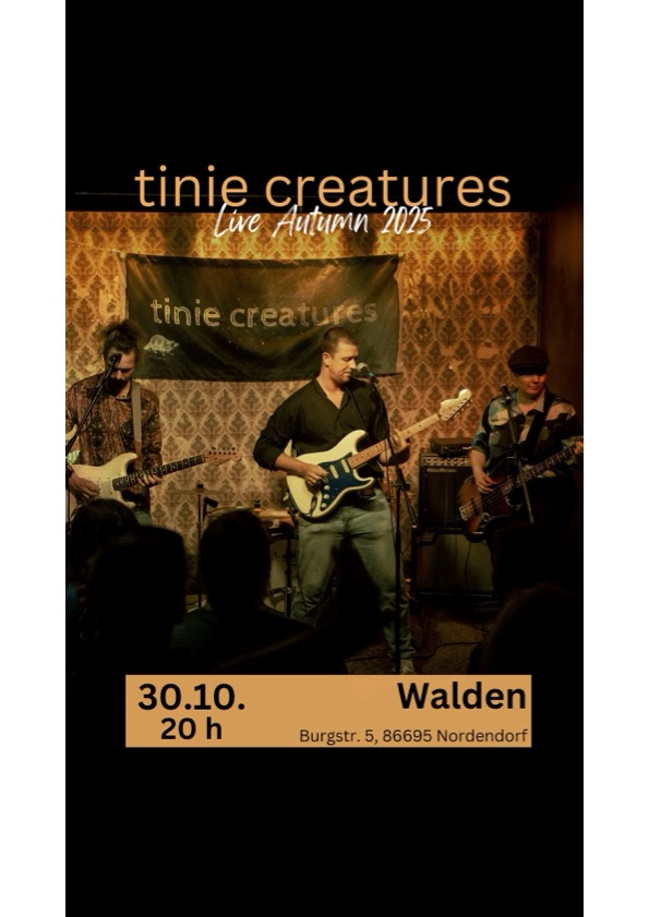 Tourposter 2025 Walden (insta Story)
