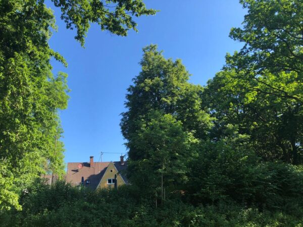 Walden Kulturwirtschaft Blankenburg Nordendorf Eindruecke 02