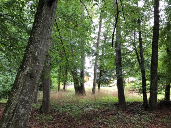 Walden Kulturwirtschaft Blankenburg Nordendorf Eindruecke 05