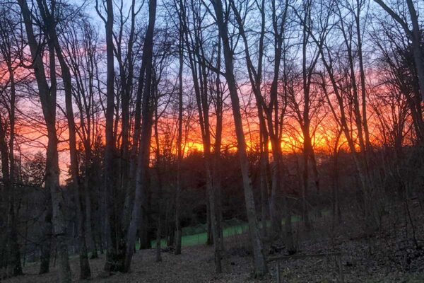 Walden Kulturwirtschaft Blankenburg Nordendorf Eindruecke 08